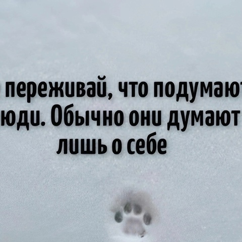 Дирлус Кони